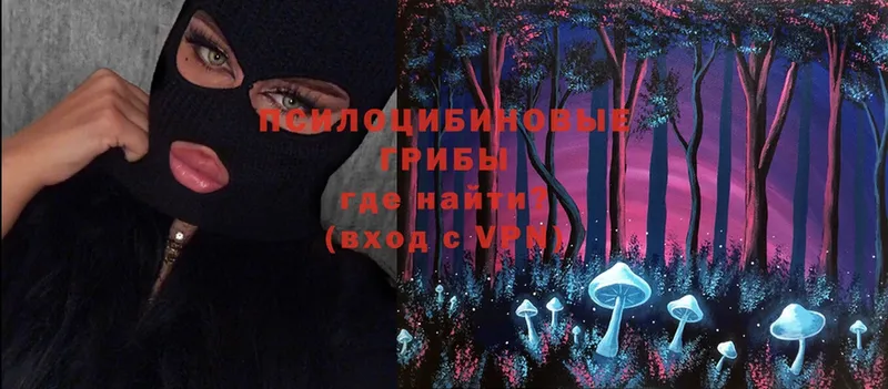 Псилоцибиновые грибы Magic Shrooms  гидра tor  Белёв 